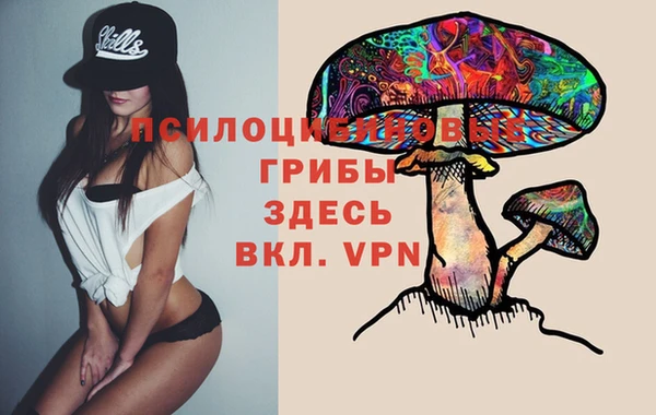 сатива Балабаново